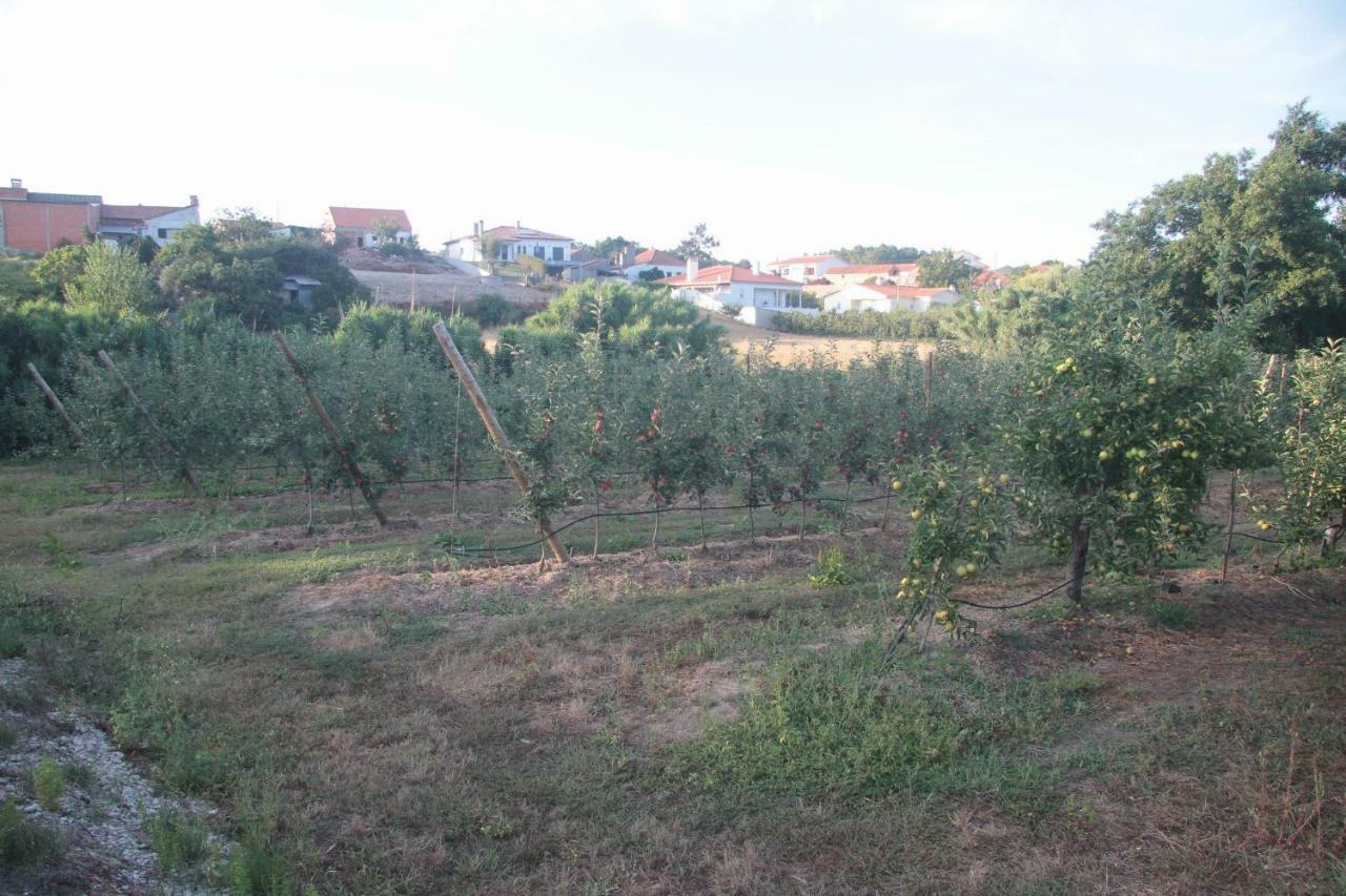 Vivenda Maria Da Nazare Vila Picamilho Exterior foto